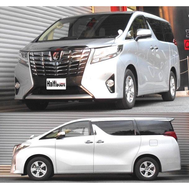 RSR Ti2000 ハーフダウンサス リアのみ アルファード AGH35W H27.1 