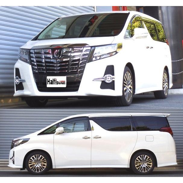 RS-R Ti2000 40アルファード ダウンサス1台分