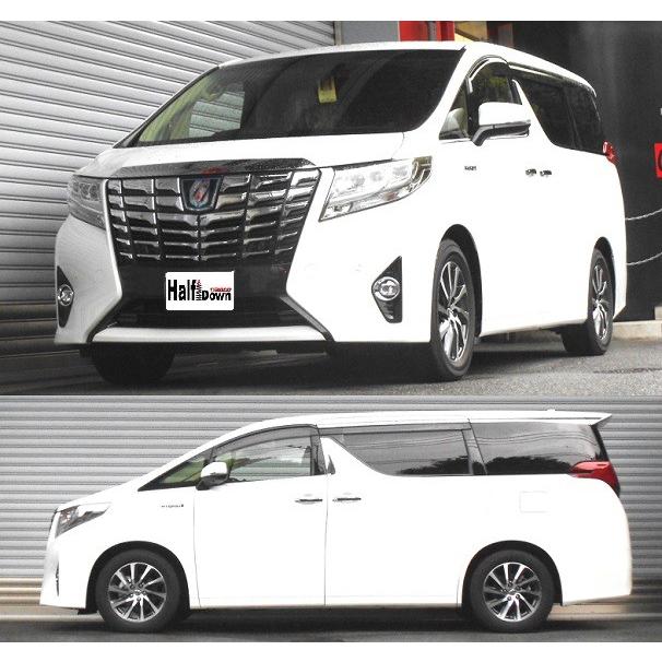 30アルファード RS★R Ti2000 ハーフダウン RS-R ハーフダウン ヴェルファイア アルファード フロントのみ RS☆R