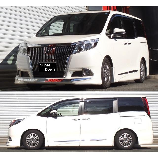 ベーシック⭐️1 NTELLIGENCE RS.R Ti2000 トヨタ RSR Ti2000 ダウンサス 1台分セット ヴィッツ NSP130 H29.1〜 FF