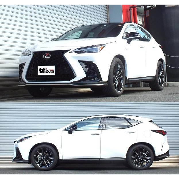 RSR Ti2000 ハーフダウンサス フロントのみ レクサス NX350h AAZH20 R3.12〜 FF Fスポーツ_1