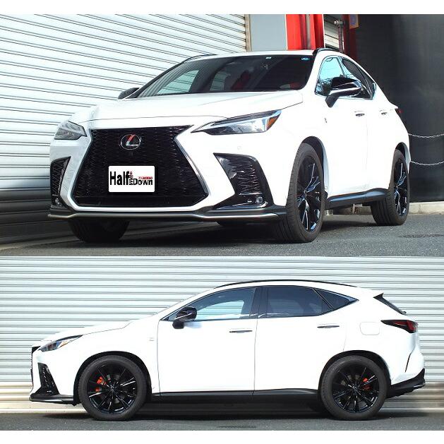 RSR Ti2000 ハーフダウンサス フロントのみ レクサス NX350 TAZA25 R3.11〜 4WD Fスポーツ_1