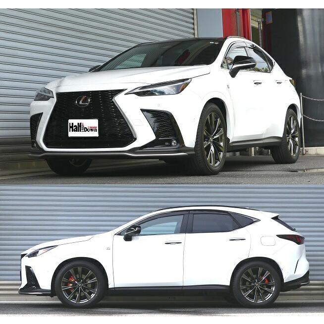 RSR Ti2000 ハーフダウンサス 1台分セット レクサス NX350h AAZH25 R3 