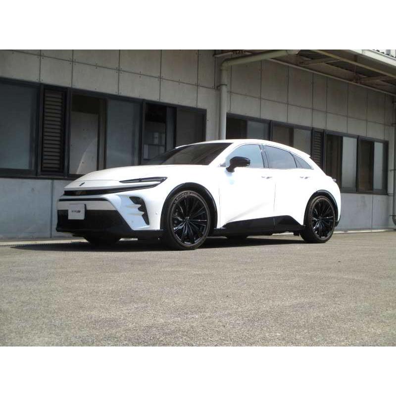 TANABE（タナベ） 車高調 サステックプロ ZT40 クラウンスポーツ