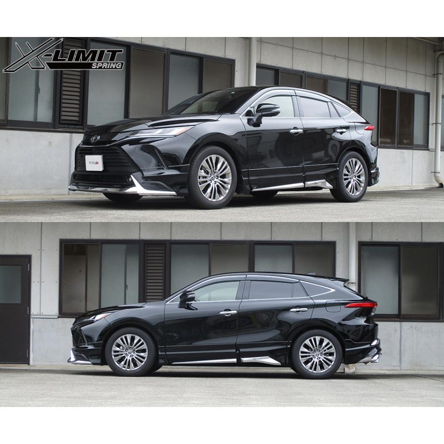 TANABE（タナベ） サステック クロスリミット スプリング 1台分