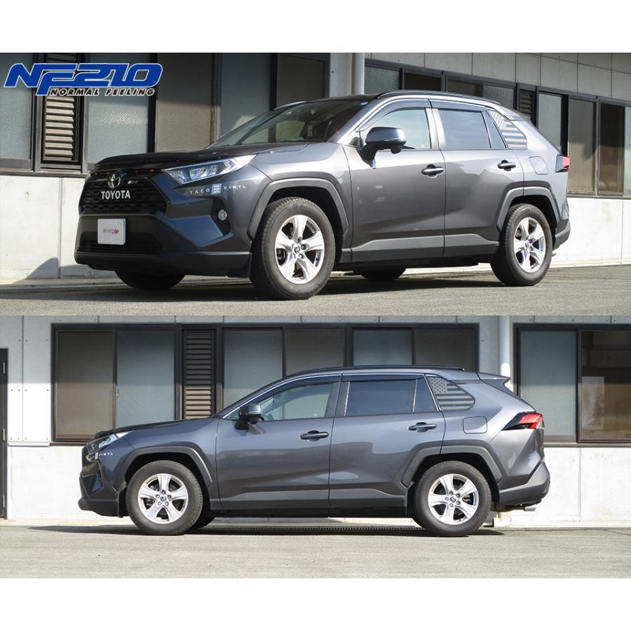 TANABE（タナベ） サステック NF210 ダウンサス 1台分 RAV4 MXAA52 H31