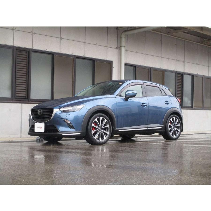 tanabe タナベ サステック NF210 ダウンサス リアのみ CX-3 DK8AW H30.5〜R4.4 S8-DPTS DTB 4WD_2