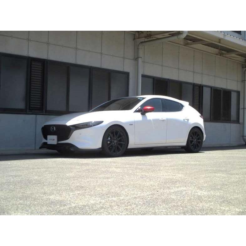 TANABE（タナベ） サステック NF210 ダウンサス フロントのみ マツダ3