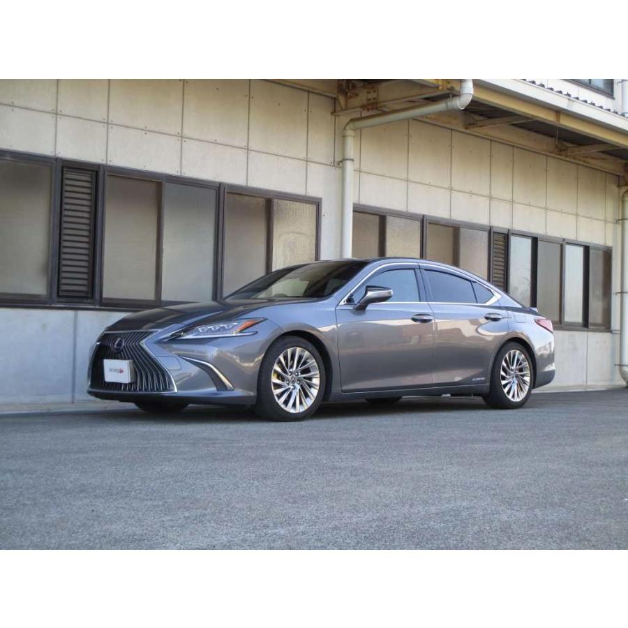 TANABE（タナベ） サステック NF210 ダウンサス 1台分 レクサス ES300h