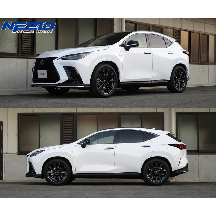 TANABE tanabe タナベ サステック NF210 ダウンサス フロントのみ 