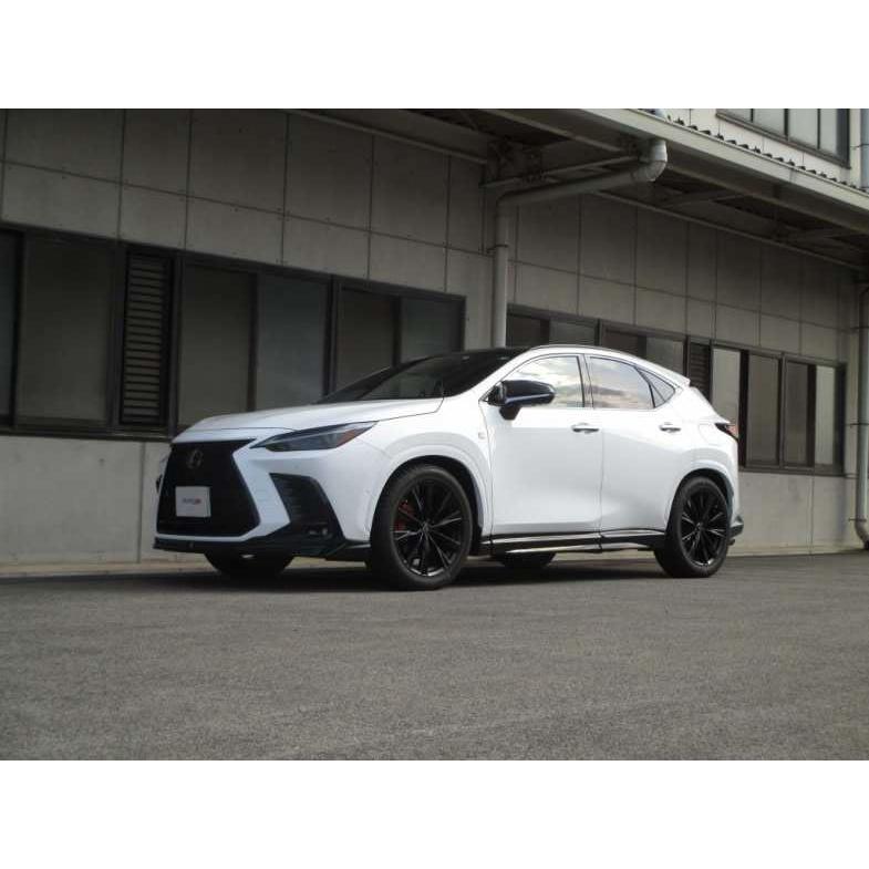 TANABE（タナベ） サステック NF210 ダウンサス 1台分 レクサス NX350h