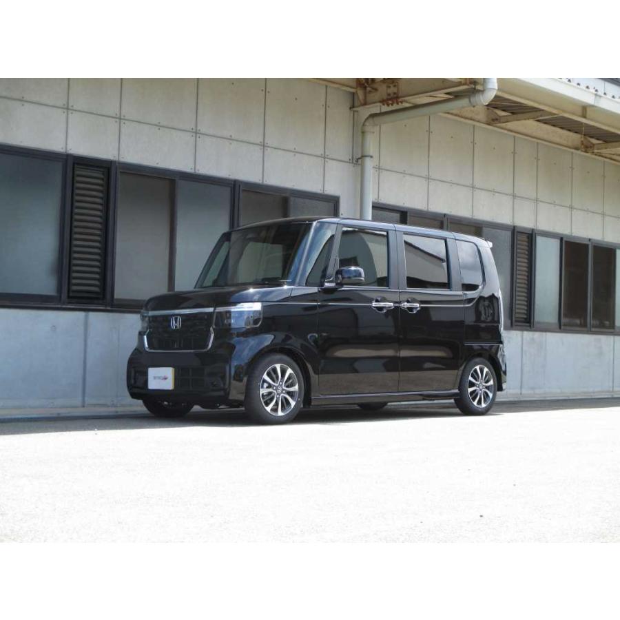 TANABE（タナベ） サステック NF210 ダウンサス リアのみ N-BOX