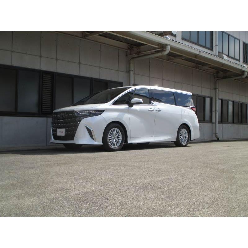 tanabe タナベ サステック NF210 ダウンサス フロントのみ アルファードハイブリッド AAHH40W R7.1〜 A25A-FXS NA FF ハイブリッドX_2
