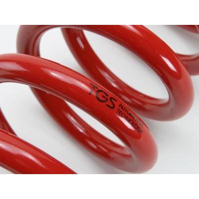 TGS X-Fang アンチロールスプリングゼロ デリカD:5 CV1W ※MC後CV1装着不可 TGS Fang