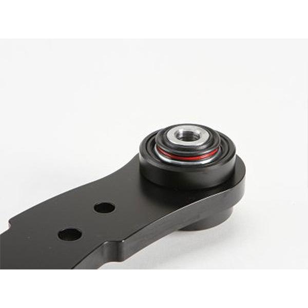 TGS X-Fang リアアッパーコントロールアーム 1InchUP専用 デリカ