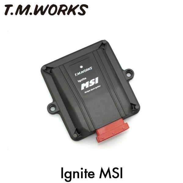 T.M.WORKS イグナイトMSI シトロエン C3 A55F10 2010〜2017のサムネイル