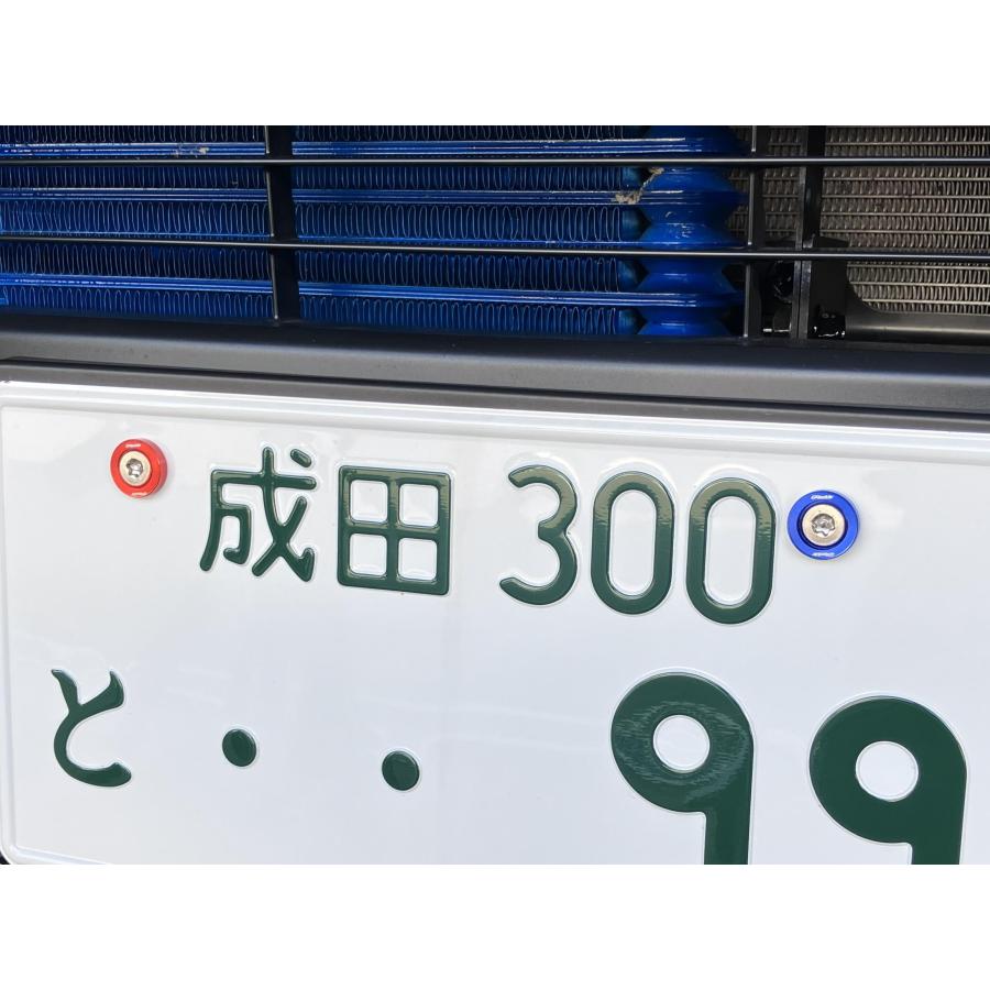 TRUST（トラスト） GReddy ナンバーボルトセット(4ホン) ネオクローム