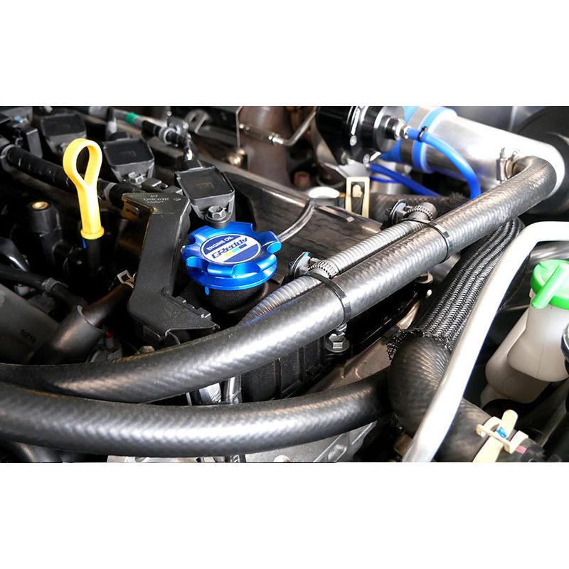 TRUST（トラスト） GReddy オイルフィラーキャップ B-TYPE BL GOC-B07