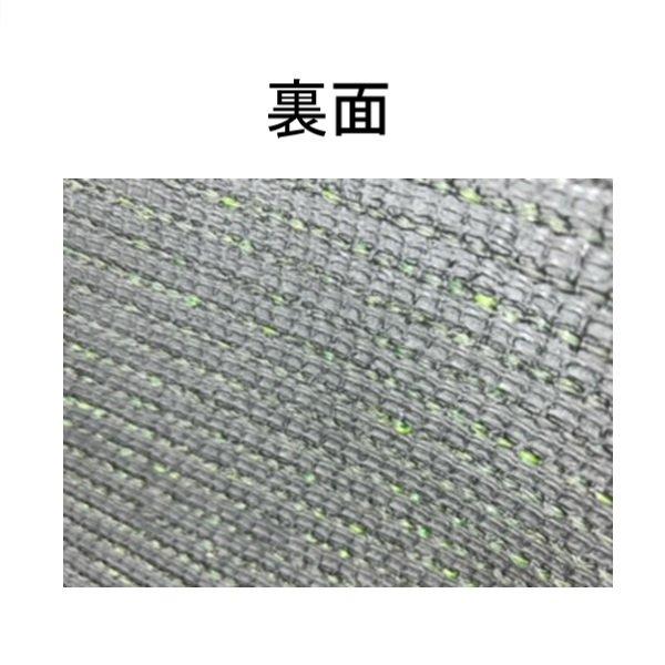 人工芝 30mm 2×10 幅2m × 長さ10m ロール タイプ ガーデニング 人工芝 30mm 2×10 幅2m × 長さ10m ロール タイプ ガーデニング