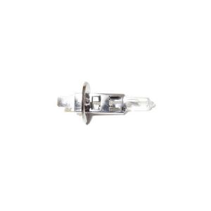H1 バルブ 12V 55W ヘッドライトバルブ ハロゲンランプ 2個 複数 同梱