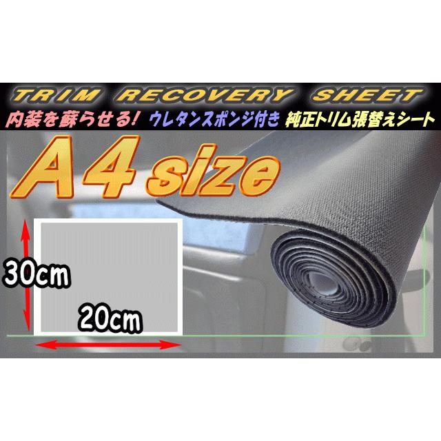 内張り天面確認用 AUTOMAX izumi 純正トリム張替えシート (A4) 幅30cm×20cm 内装