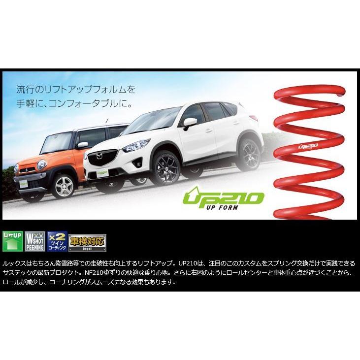 タナベ UP210 リフトアップサス 1台セット スペーシアギア MK53S 4WD 