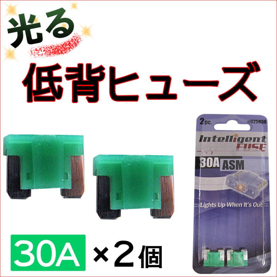 光るタイプ 低背ヒューズ 2個セット 30a 緑 車用 Ac345 2pcs オートエージェンシー 通販 Yahoo ショッピング