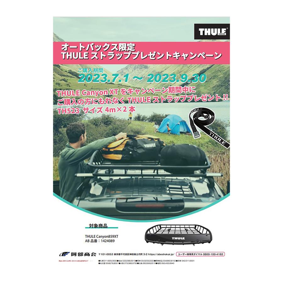 THULE スーリー キャリア TH859XT Canyon キャリアバスケット ルーフ