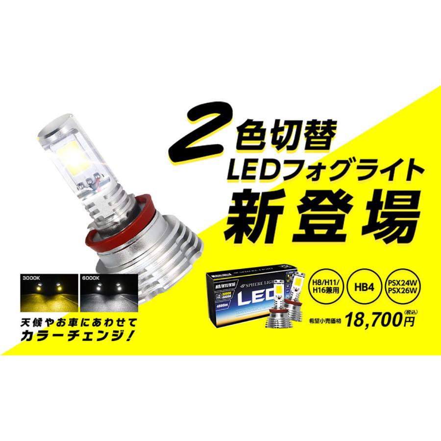 SPHERE LIGHT（スフィアライト） フォグ用LEDデュアルカラーモデル