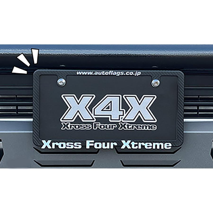 autoflags オートフラッグス 3Dロゴナンバーフレームスリム カーボン