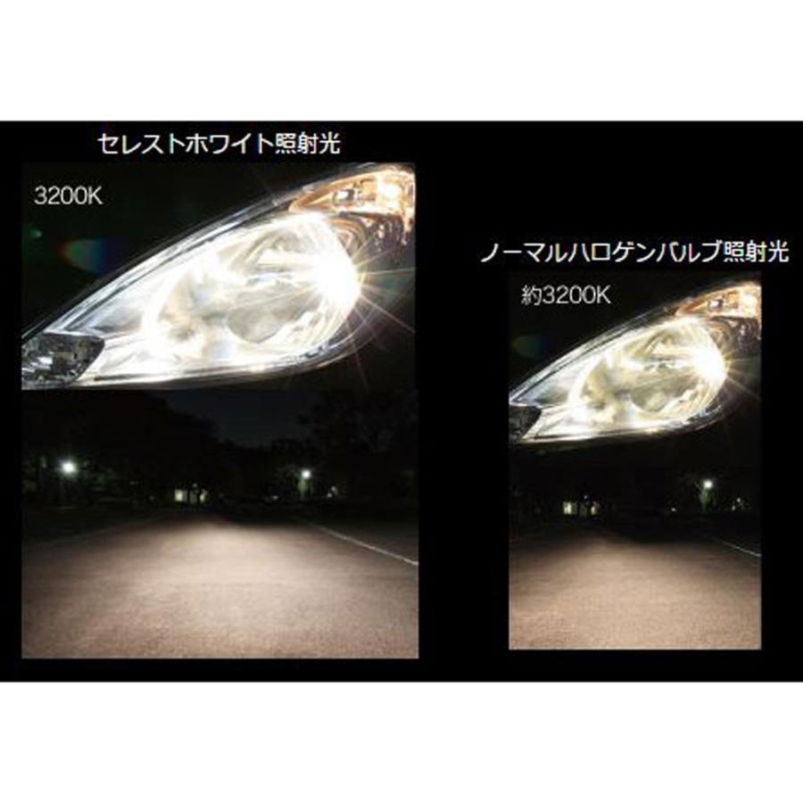 ハピハピ 縦切替ポロシャツ【キングサイズ】 - ハッシュパピーアパレル