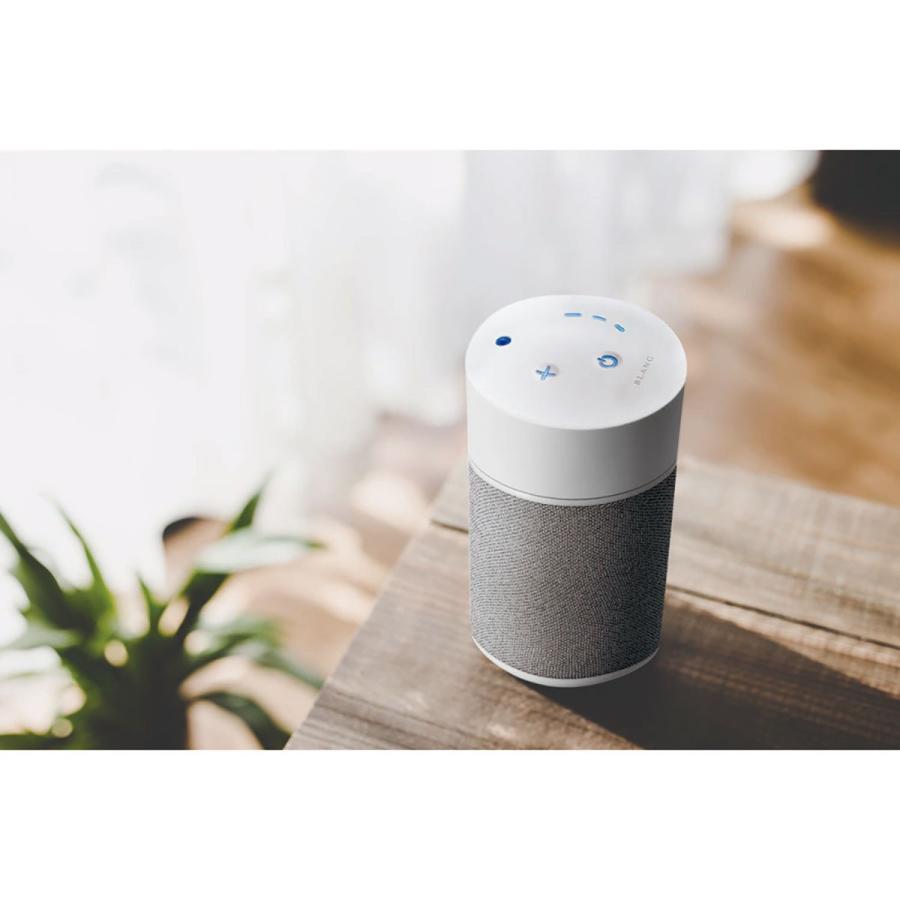 カーメイト Carmate ブラング 噴霧式フレグランスディフューザー L ライトグレー オートバックスpaypayモール店 通販 Paypayモール