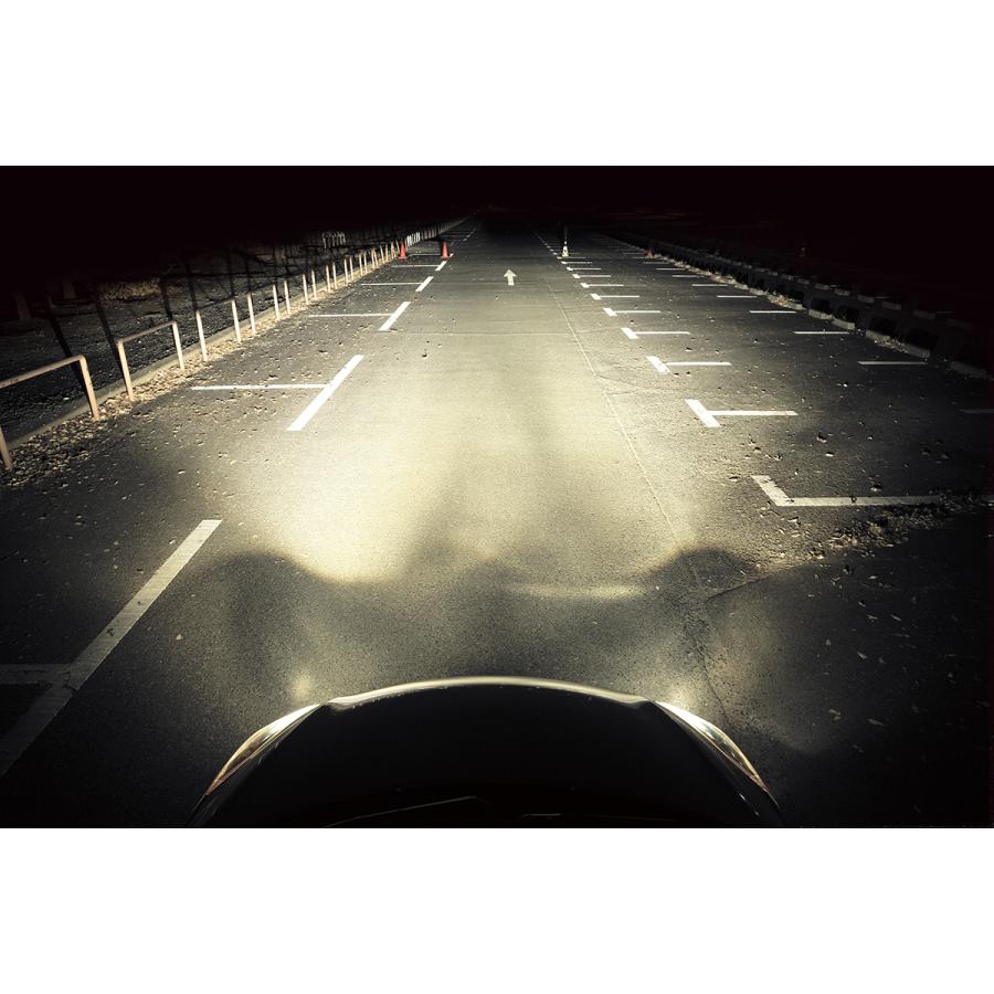 GIGA CARMATE カーメイト LEDヘッドバルブ BW906 D10/4500K/D4S