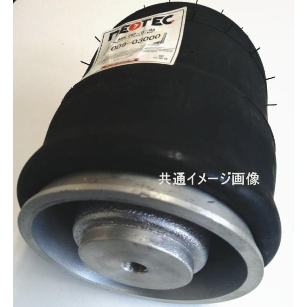 日野 FW(F) プロフィア エアスプリングASSY 008-00200 /大型車