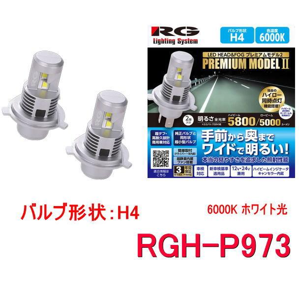 RACING GEAR（レーシングギア） RG RGH-P973 (H4／6000K ホワイト光