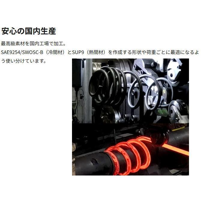 レーシングギア 　ST098A　ヴォクシー/ノア ZRR85G .W　ダウンサス　RG　車高調　ローフォームレボリューション | RACING GEAR | 02