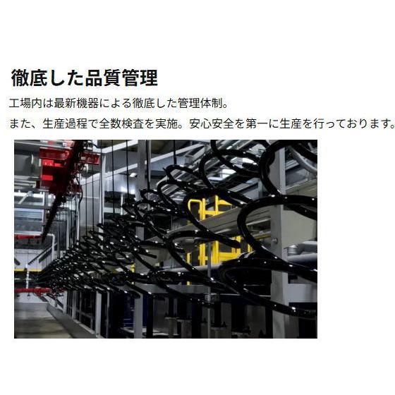 レーシングギア 　ST098A　ヴォクシー/ノア ZRR85G .W　ダウンサス　RG　車高調　ローフォームレボリューション | RACING GEAR | 04