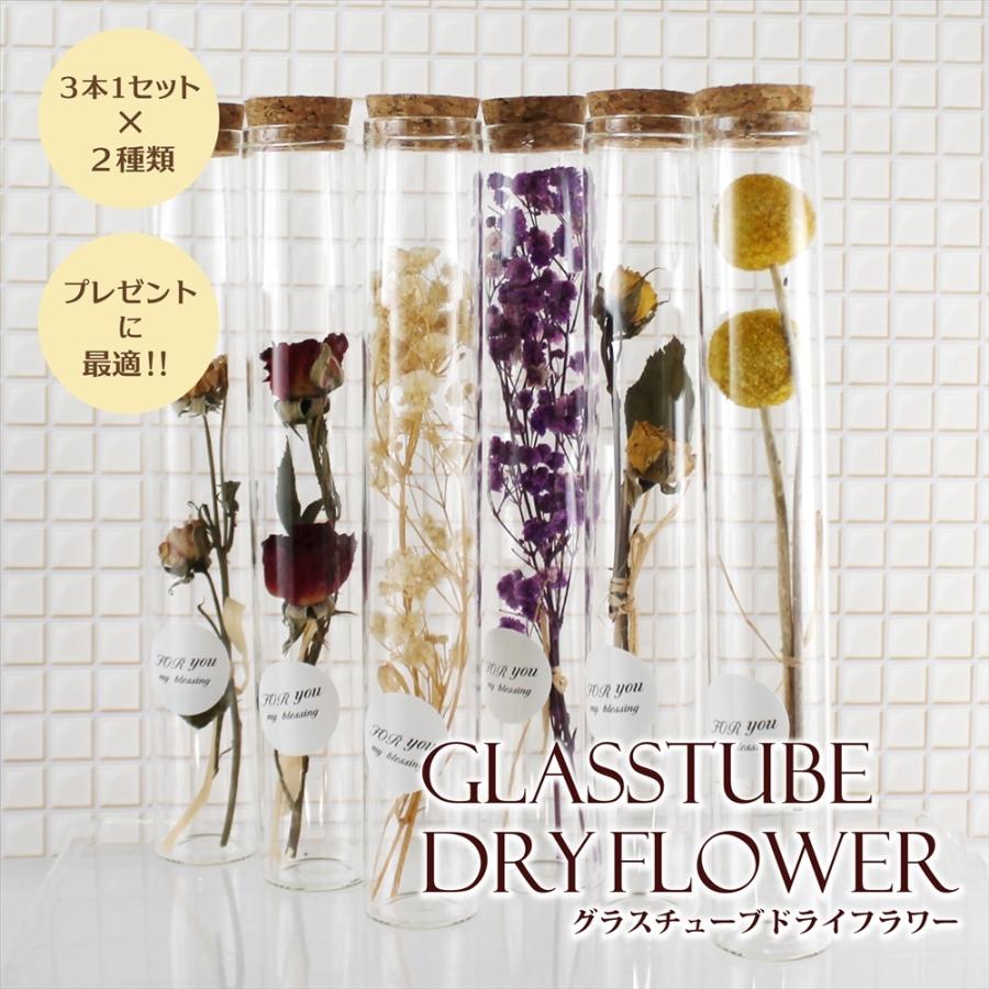 ドライフラワー 花 誕生日 プレゼント ギフト グラスチューブ ボトルフラワー フラワーボトル グラスチューブドライフラワー Glasstube Dryflower オートエディックス 通販 Yahoo ショッピング