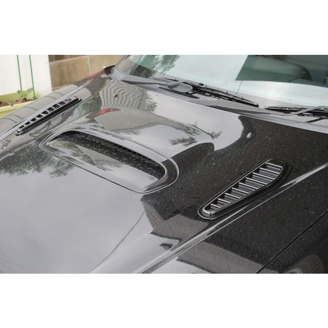 ダミーダクト 汎用 サメエラ風 ボンネット トランク エアロ ブラック