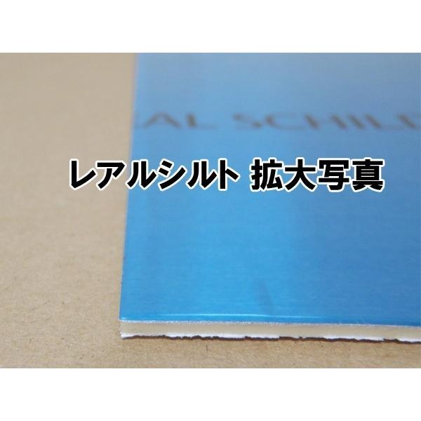 レアルシルト 積水化学工業 RSDB 超制振 デッドニング ハーフサイズ2枚｜autoitem｜02