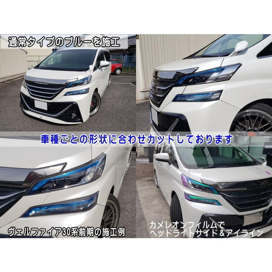 アルファード アイラインフィルム (アルファード 30系 後期) 車種専用 