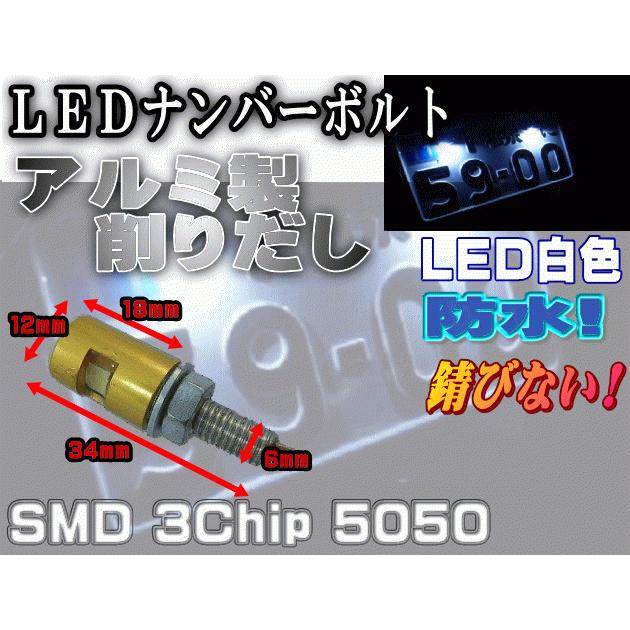 ポン付‼️ RZM RACING レブル　ナンバー灯　ボルト交換式　希少 AUTOMAX izumi アルミナンバーボルト(2個） LEDナンバーボルト 汎用