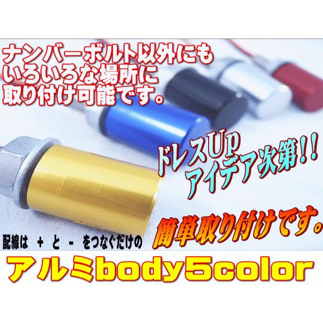 ポン付‼️ RZM RACING レブル　ナンバー灯　ボルト交換式　希少 AUTOMAX izumi アルミナンバーボルト(2個） LEDナンバーボルト 汎用