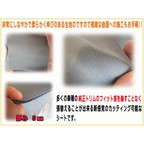 AUTOMAX izumi 純正トリム張替えシート (A4) 幅30cm×20cm 内装