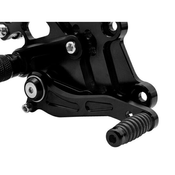 Ninja NINJA250 ニンジャ250 Z250 2013-2017 アルミ削り出し Ninja NINJA250 ニンジャ250 Z250 2013-2017 アルミ削り出し