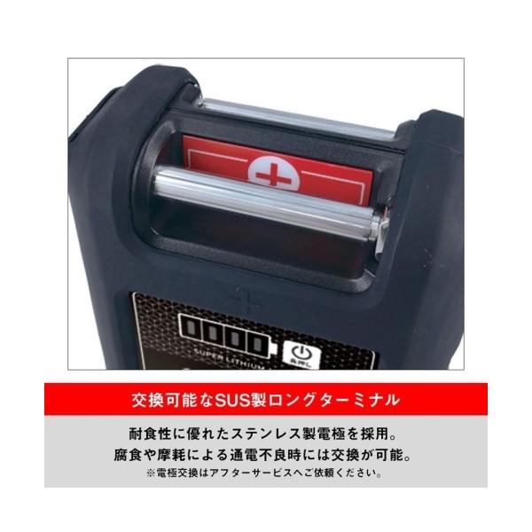 Daiwa スーパーリチウム SUPER LITHIUM 12000WP2-C 66380 ダイワ