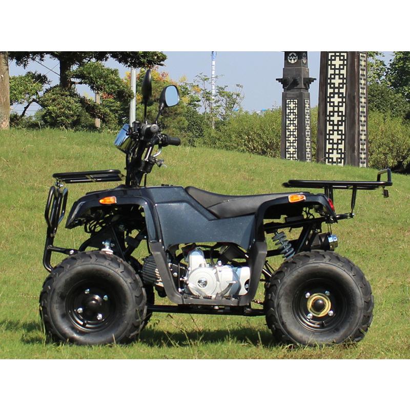 バギー トライク ICEBEAR 北海道-四輪バギー50cc（キット）ATV前進3速 ...