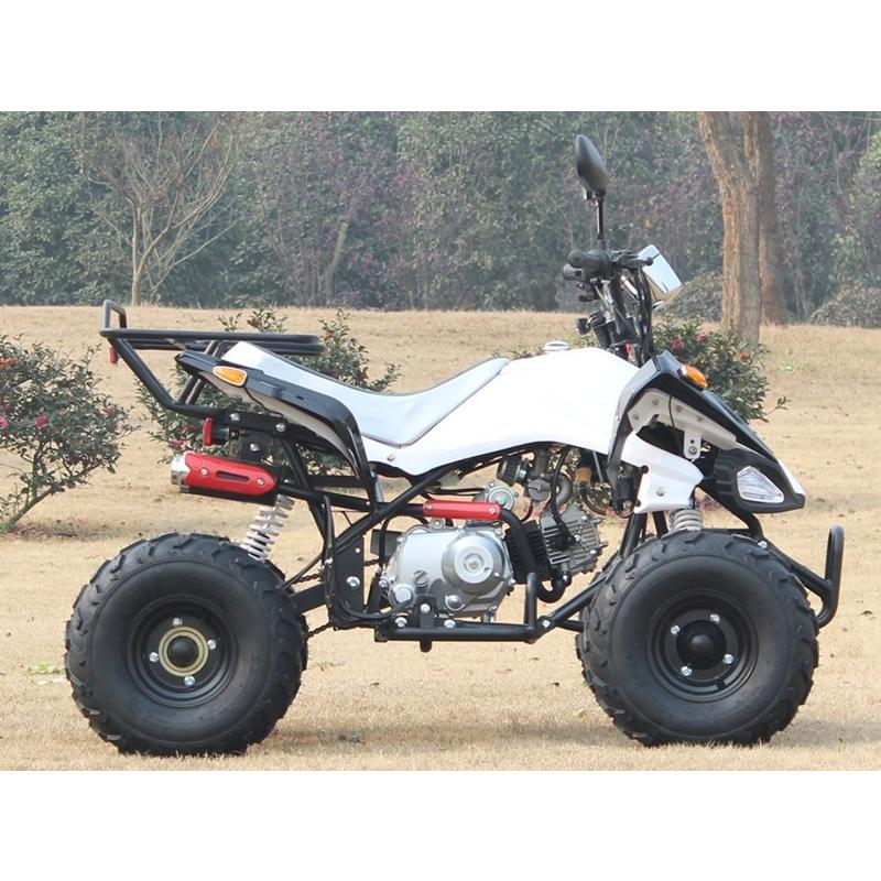 四輪バギー50cc(キット)ATV前進3速バック付ナンバー公道走行可 新車SB50HW-Kキット商品(90%組立済み)西濃運輸営業所止めまで無料配送 :SB50HW-K:バギー トライク ICEBEAR 北海道 - 通販 - Yahoo!ショッピング 四輪バギー50cc(キット)ATV前進3速バック付ナンバー公道走行可 新車SB50HW-Kキット商品(90%組立済み)西濃運輸営業所止めまで無料配送 :SB50HW-K:バギー トライク ICEBEAR 北海道 - 通販 - Yahoo!ショッピング