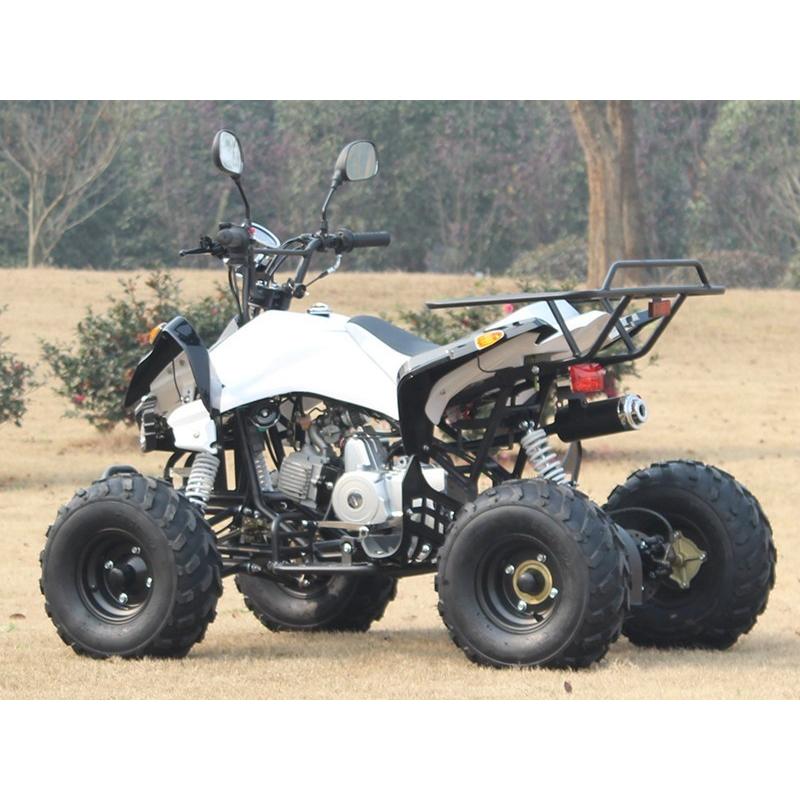 四輪バギー50cc(キット)ATV前進3速バック付ナンバー公道走行可 新車SB50HW-Kキット商品(90%組立済み)西濃運輸営業所止めまで無料配送 :SB50HW-K:バギー トライク ICEBEAR 北海道 - 通販 - Yahoo!ショッピング 四輪バギー50cc(キット)ATV前進3速バック付ナンバー公道走行可 新車SB50HW-Kキット商品(90%組立済み)西濃運輸営業所止めまで無料配送 :SB50HW-K:バギー トライク ICEBEAR 北海道 - 通販 - Yahoo!ショッピング