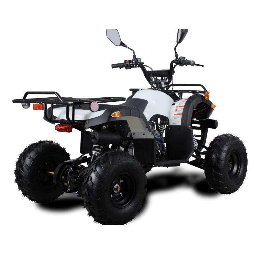 四輪バギー50cc(キット)ATV前進1速バック付公道走行可 新車 四輪バギー50cc(キット)ATV前進1速バック付公道走行可 新車